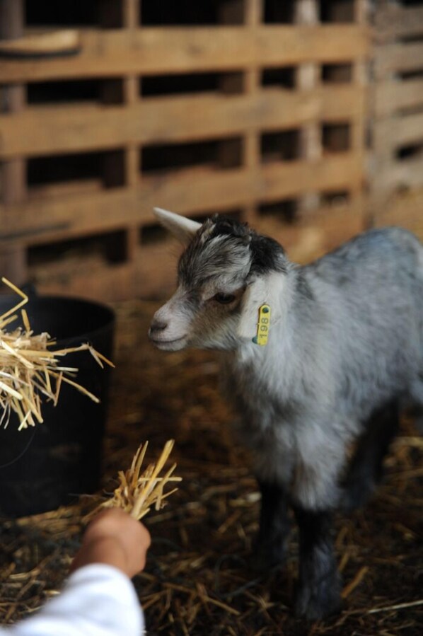 Aktivitäten für Kinder
