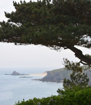 해변