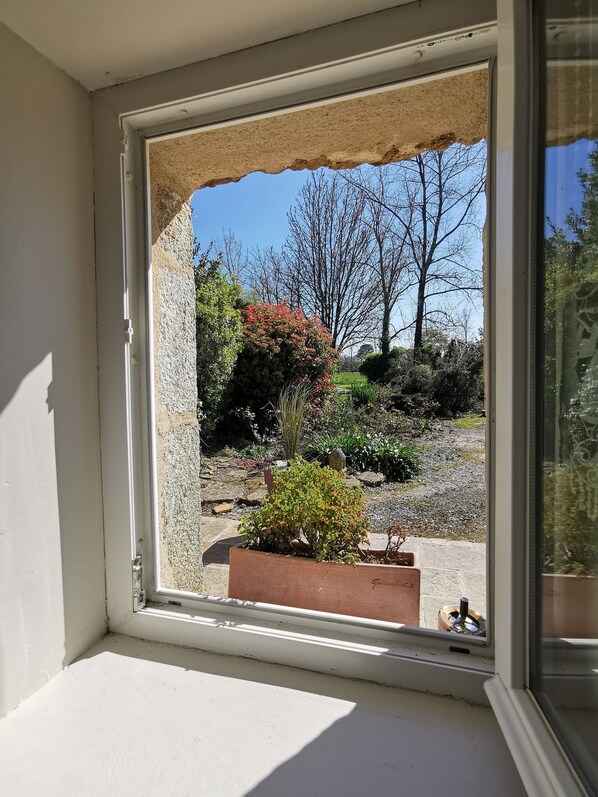 Una ventana con vista a un jardín, que incluye un árbol pequeño y arbustos.