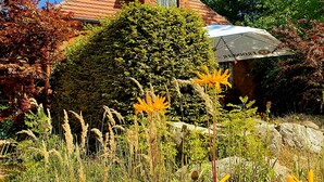 Een huis met een rode dakbedekking, omgeven door weelderig groen en bloeiende planten.
