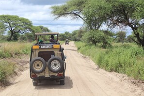 Game drive