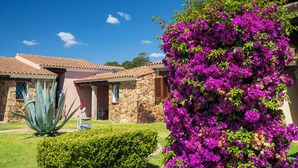 A stone building with a tiled roof, surrounded by a well-maintained garden with purple flowers and an agave plant. - Li Suari Club Village (San Teodoro)