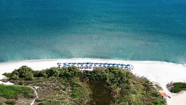 Une vue aérienne d’une plage, avec des rangées de parasols bleus et de chaises longues blanches, le tout entouré de verdure et bordé par une mer bleue et limpide.
