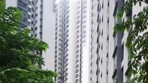 A pathway lined with trees and a red carpet, leading to tall residential buildings. - R&F Princess Cove by Wong (Johor Bahru)