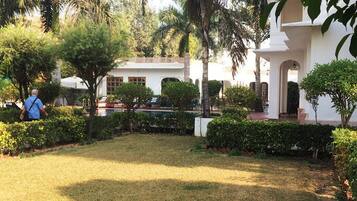 Jardín