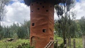 Une tour rustique, coiffée d’un toit de chaume, entourée de verdure et de quelques oies.