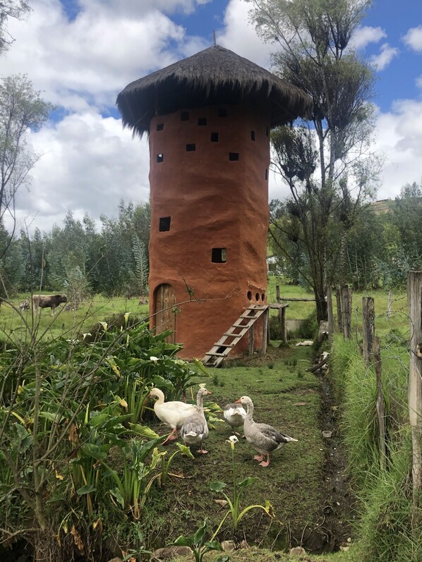 Enceinte de l’hébergement