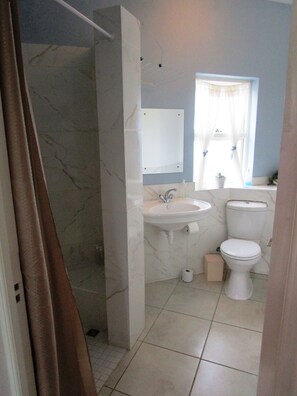 Habitación doble (Blue crane) | Baño | Amenidades de baño gratuitas, secadora de cabello, toallas, jabón 