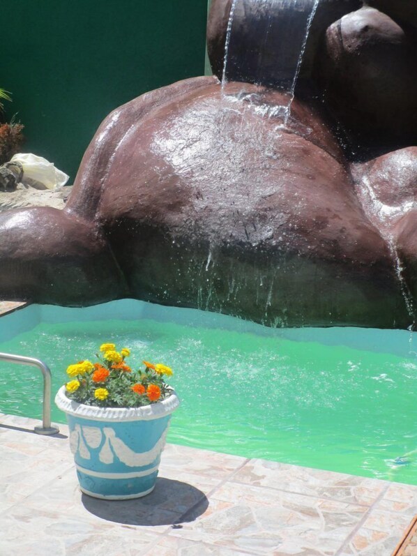 Seasonal outdoor pool - Norfolk Guest House (Hermanus)