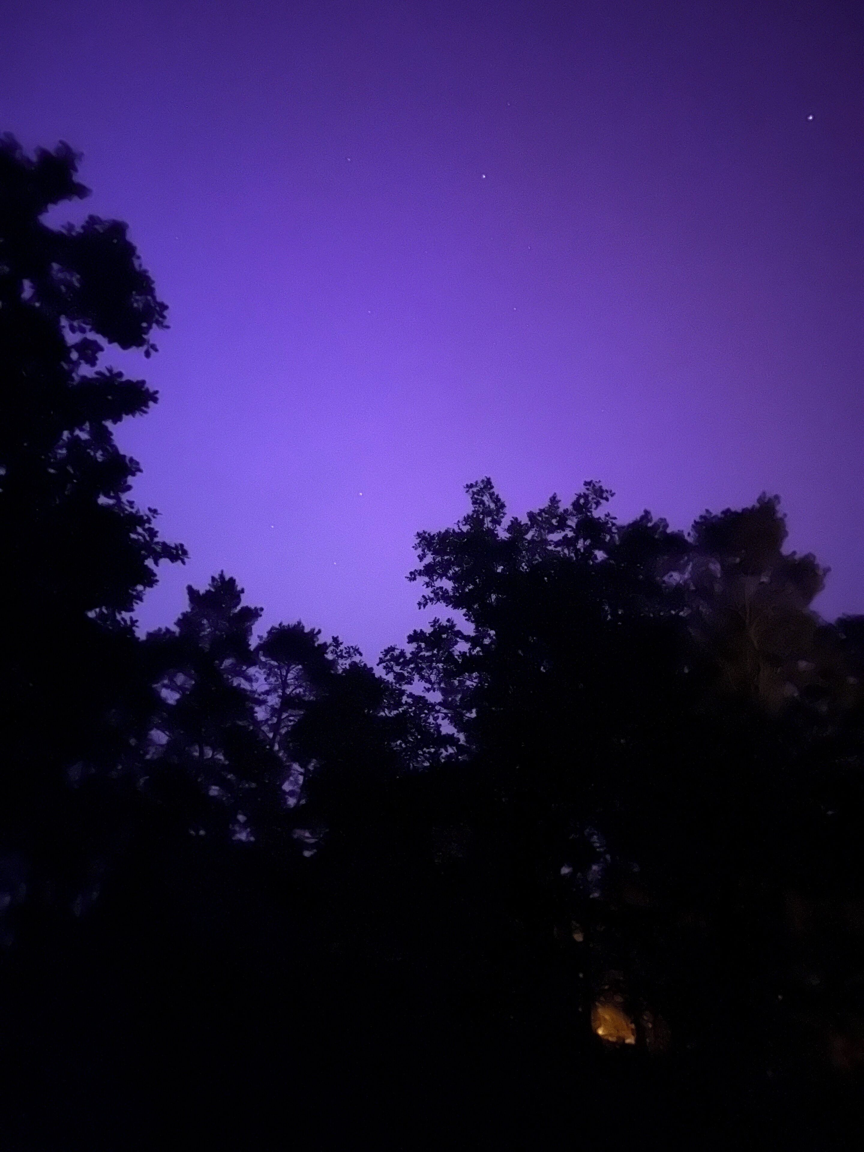 A night sky with a purple hue, silhouettes of trees, and a faintly visible light source.