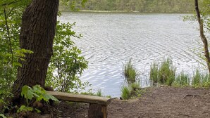 Un banco de madera junto a un lago rodeado de árboles.