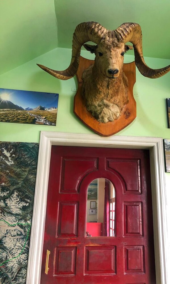 A mounted ram's head on a wall above a red door. - Hotel Dewanekhas (Skardu)