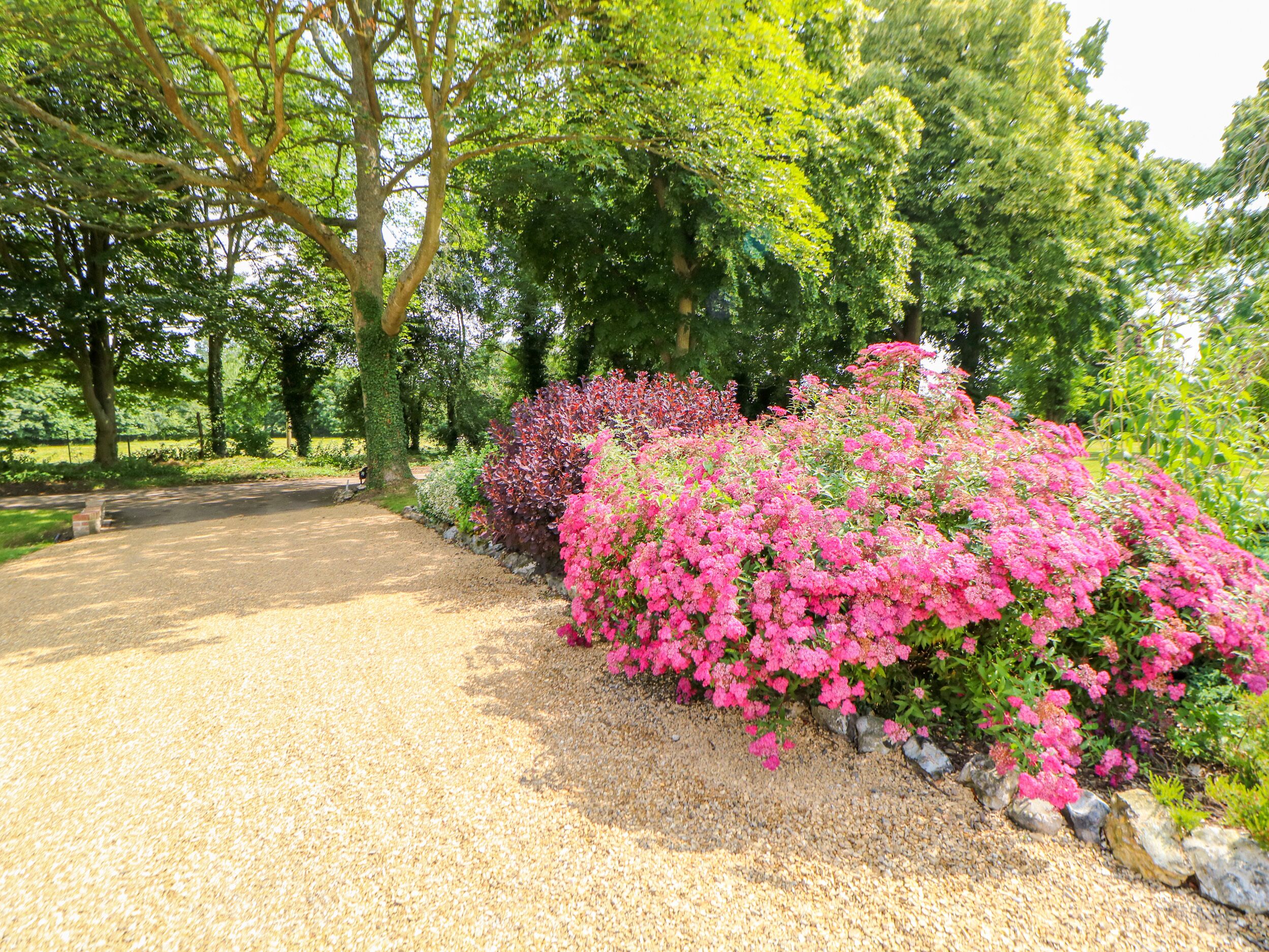 Un sentier de gravier traverse un parc où l’on trouve différentes espèces d’arbustes et d’arbres en fleurs.