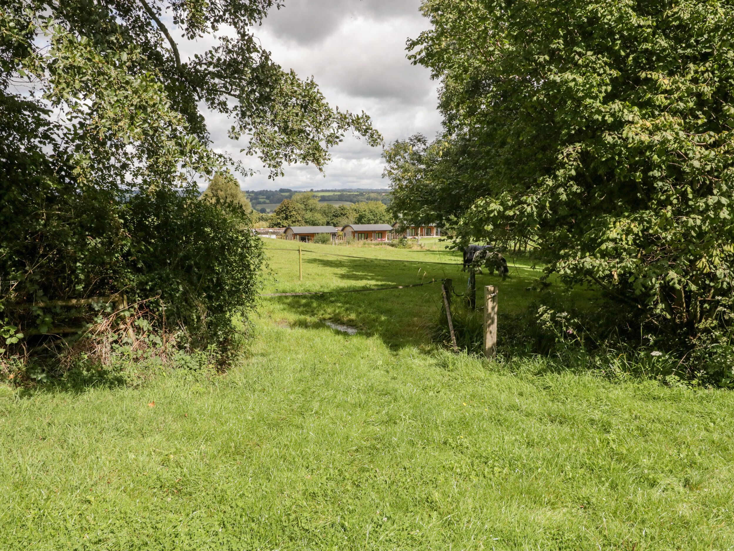 A rural landscape with a grassy field, trees, and a distant building.