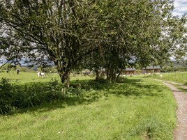 Un paysage rural avec un grand arbre, un sentier et un petit bâtiment en arrière-plan.