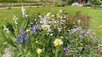 Cottage | Property grounds