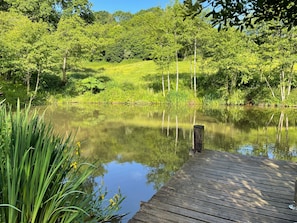 Property grounds - Primrose (Shepton Mallet)