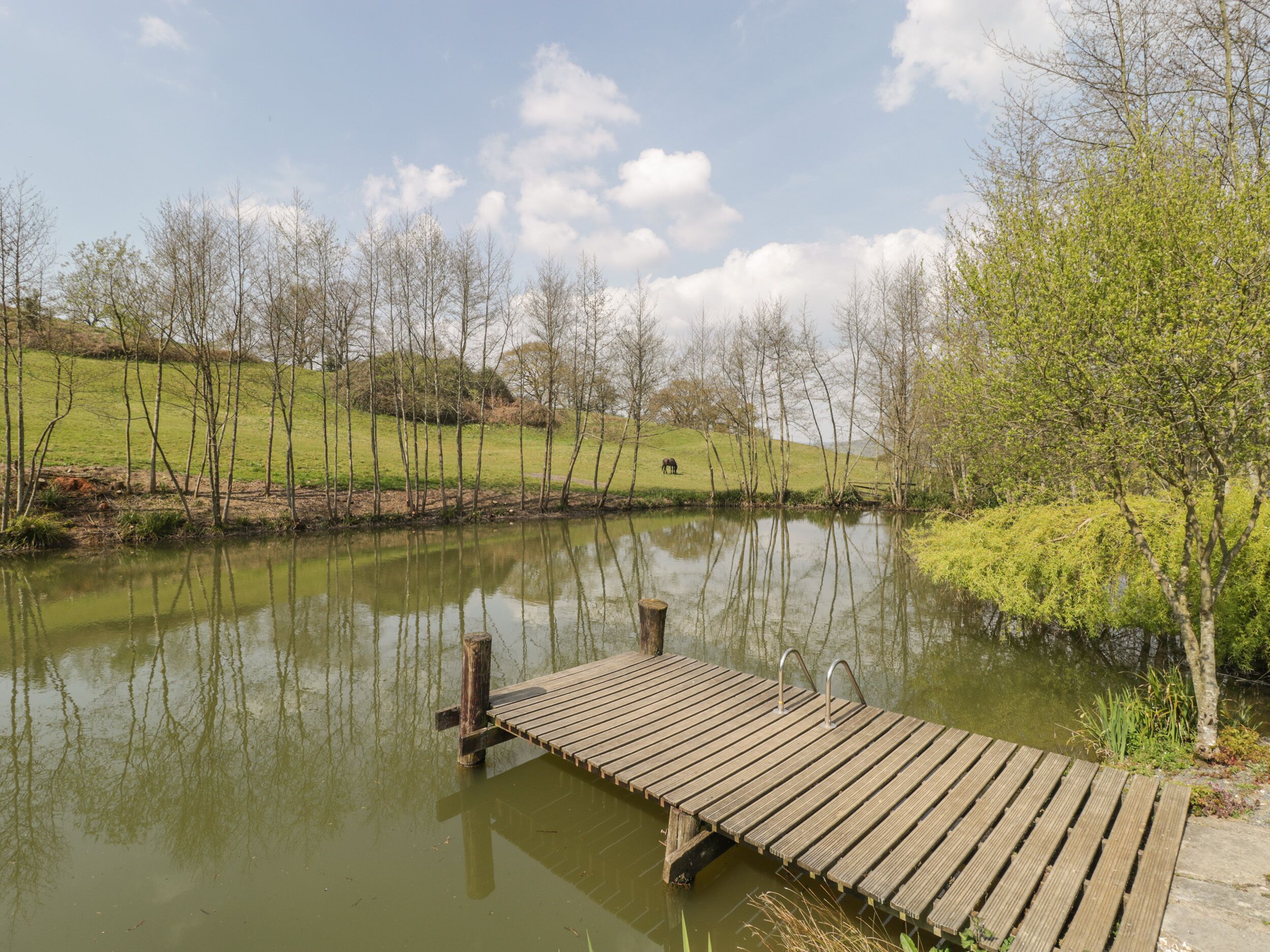 A wooden dock extending over a calm pond, surrounded by grassy hills and trees.