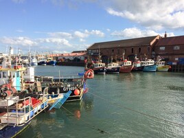 Casa de campo | Puerto deportivo