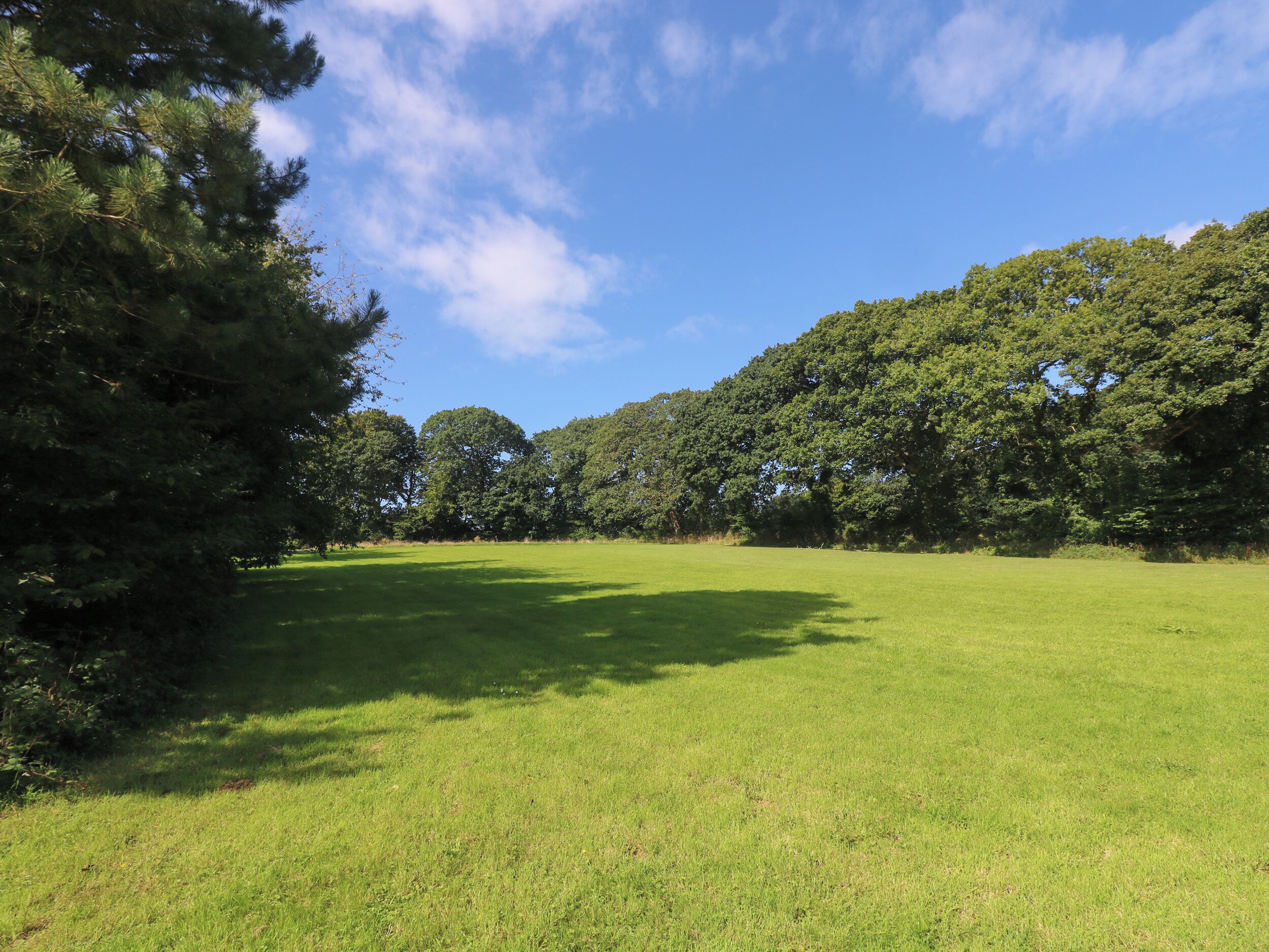 A grassy field with trees in the background.