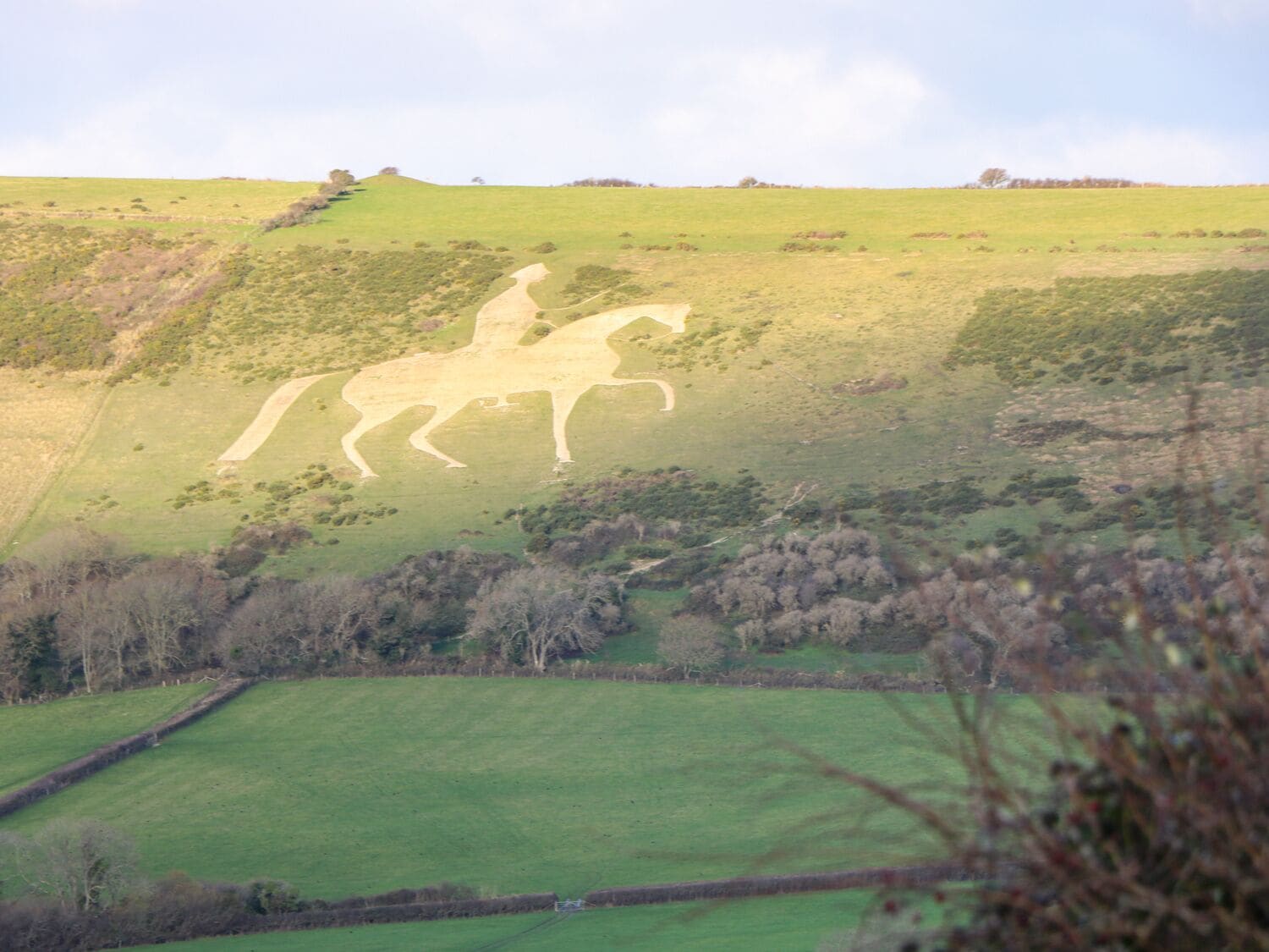 Un paisaje con la silueta de un gran caballo blanco sobre una colina.