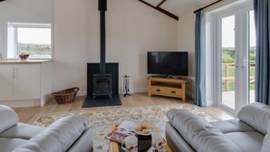 A living room with a fireplace, a television, and a sofa. - Village View (Bridport)