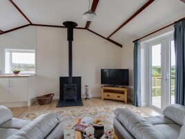 Una sala de estar con chimenea, televisor y sofá.