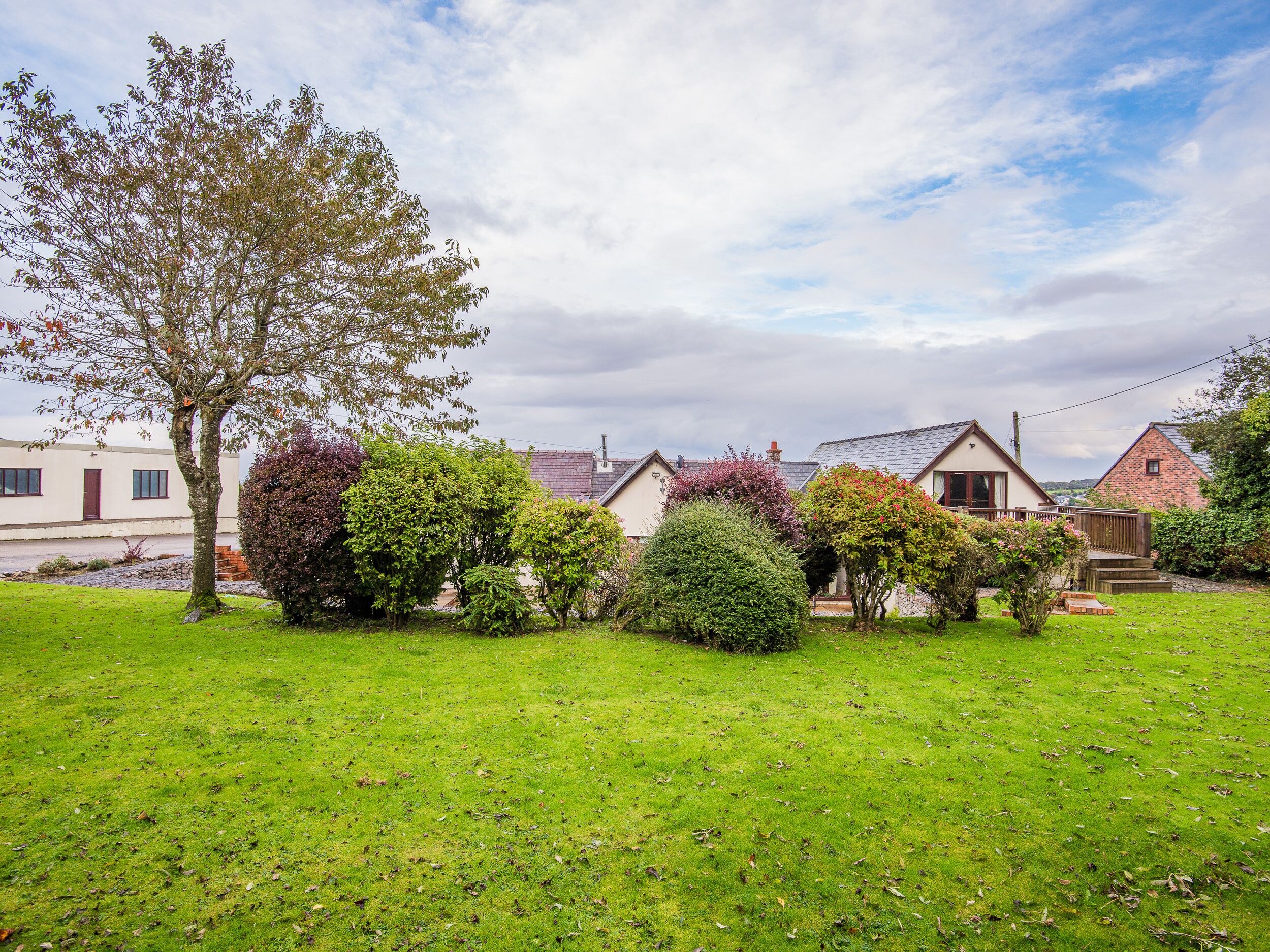 A residential area with houses, a grassy lawn, and a variety of trees and shrubs.
