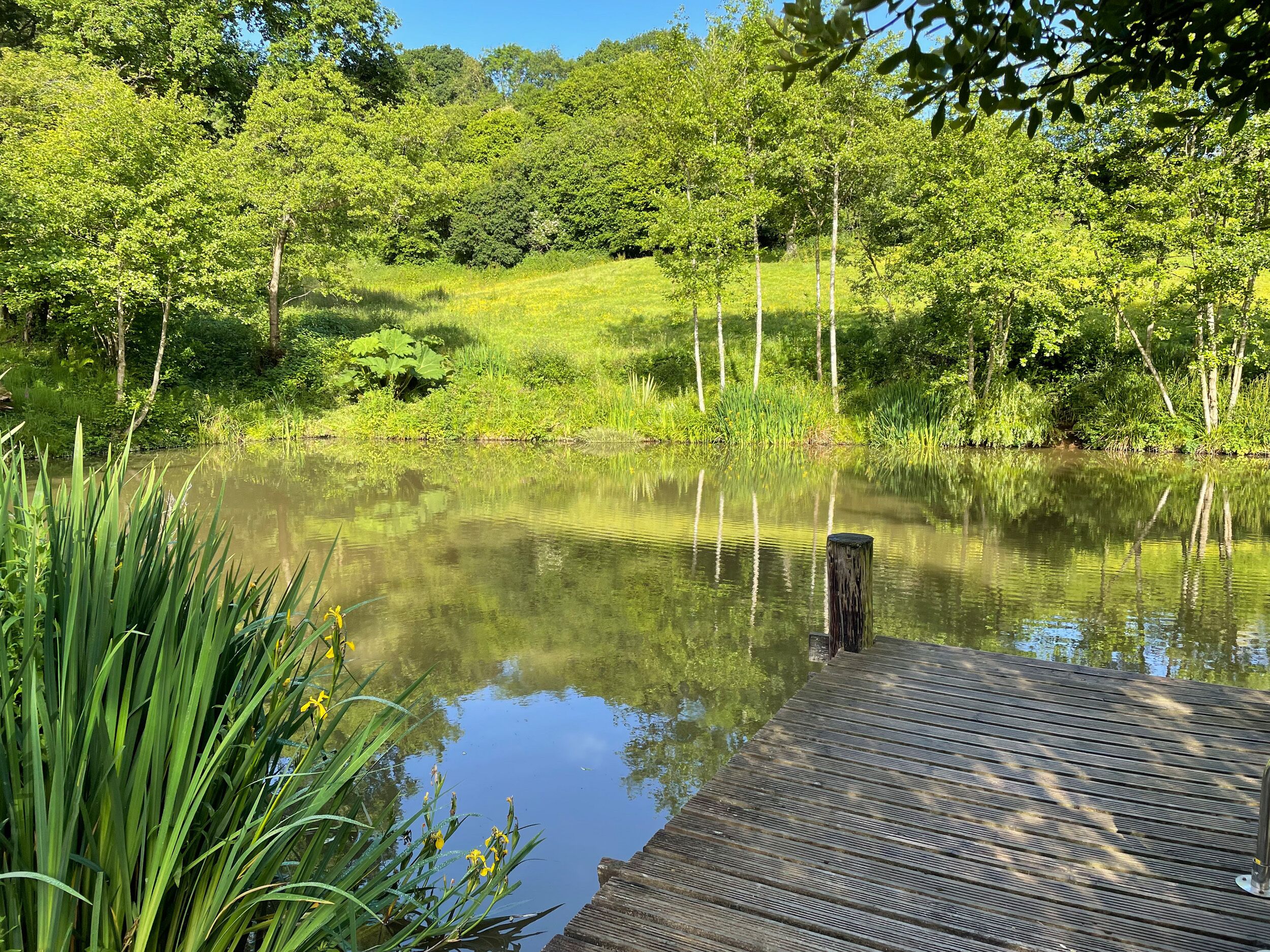 Cottage | Khuôn viên nơi lưu trú