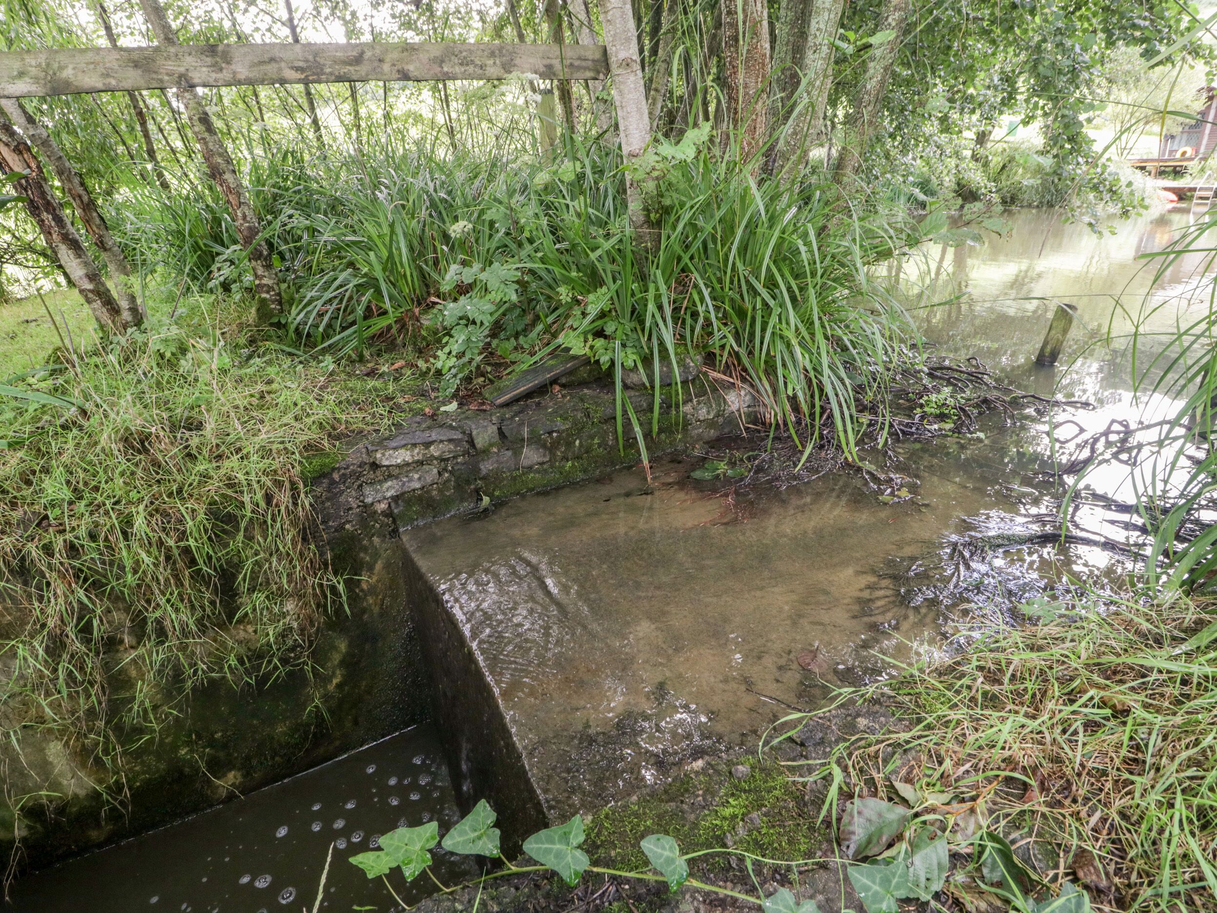 Een rustieke stenen brug over een beekje, omringd door weelderige vegetatie.