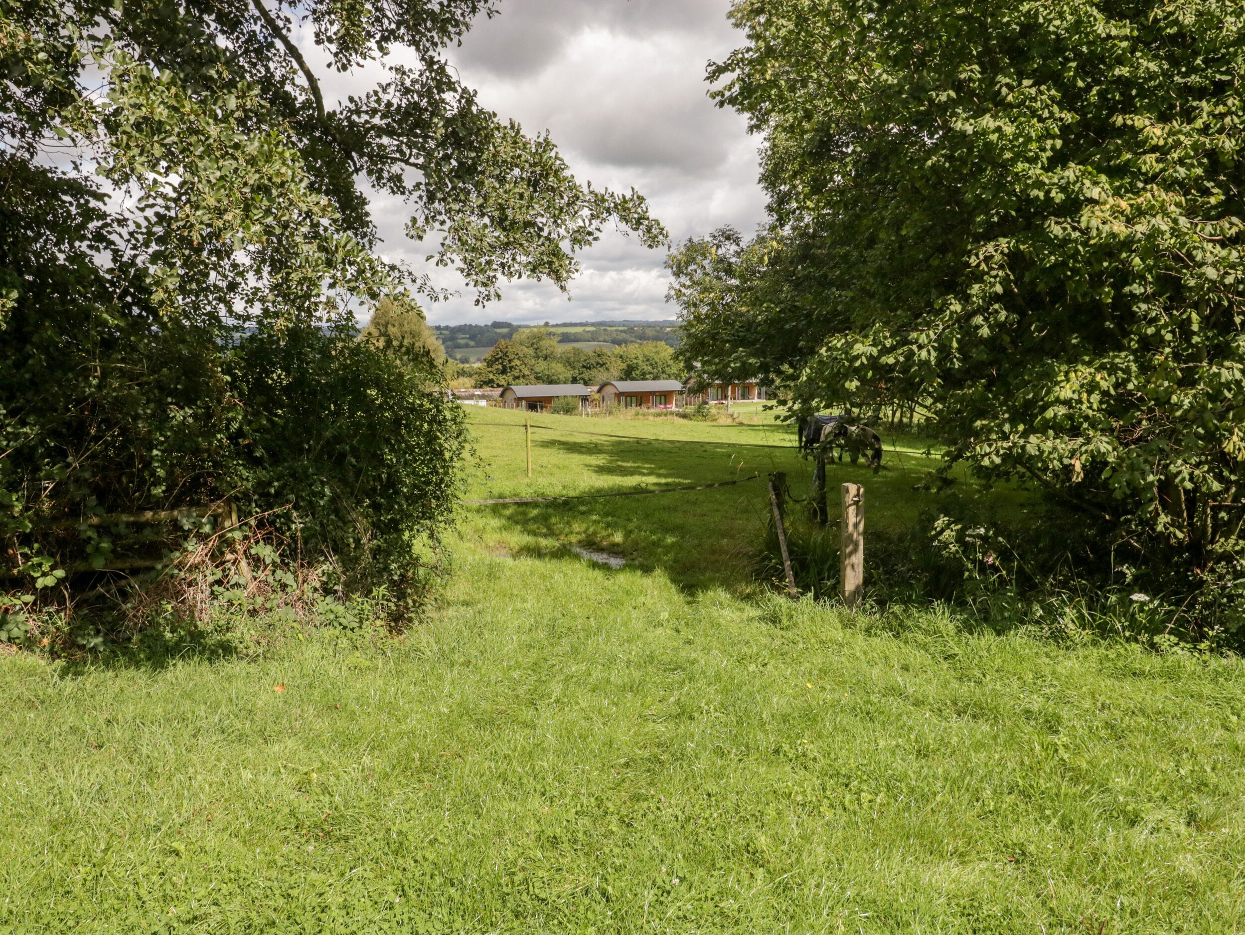 A rural landscape with a grassy field, trees, and a distant building.