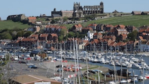 En småbåtshamn med båtar, en historisk byggnad i bakgrunden och en stad med hus som har röda tak.