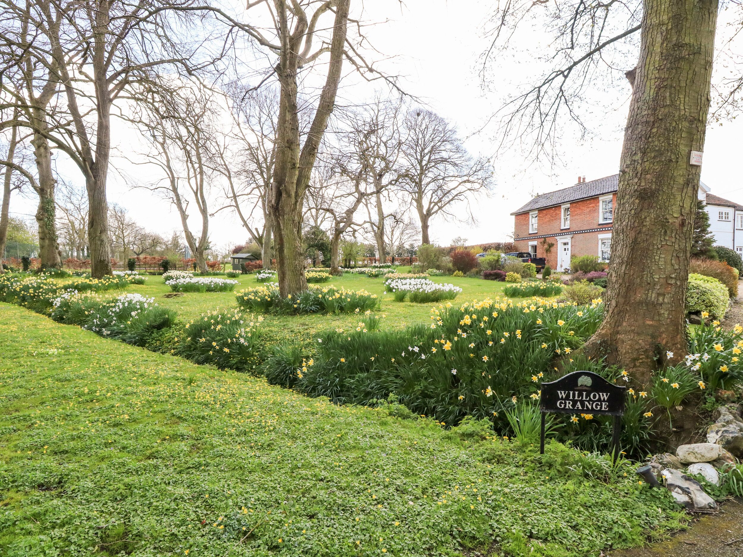 كوخ | المنطقة المحيطة بالمنشأة