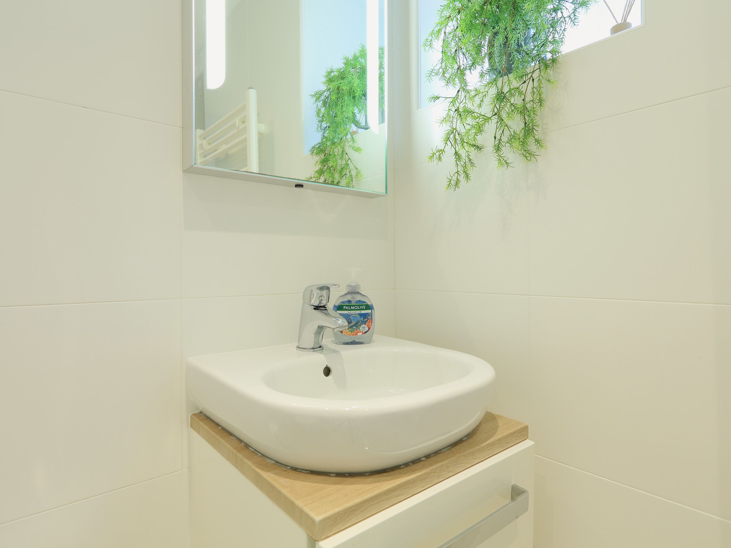 Une salle de bain avec un lavabo blanc, un miroir et une plante.