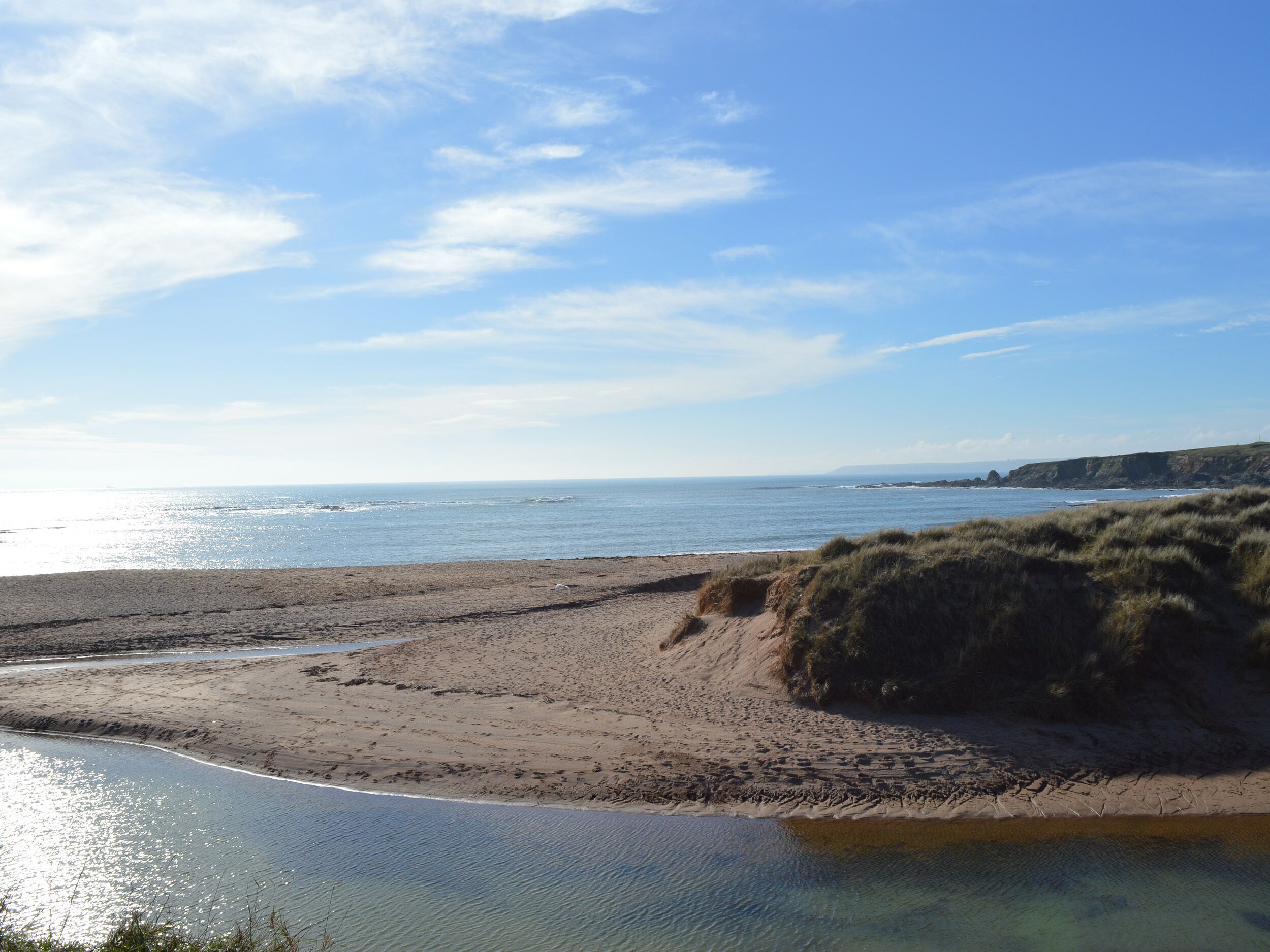 En strand med klarblå himmel, en sandstrand och en gräsklädd sanddyn.