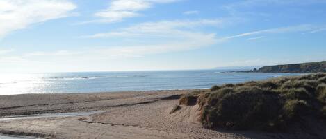 A beach with clear skies, a sandy shore, and a grassy dune.