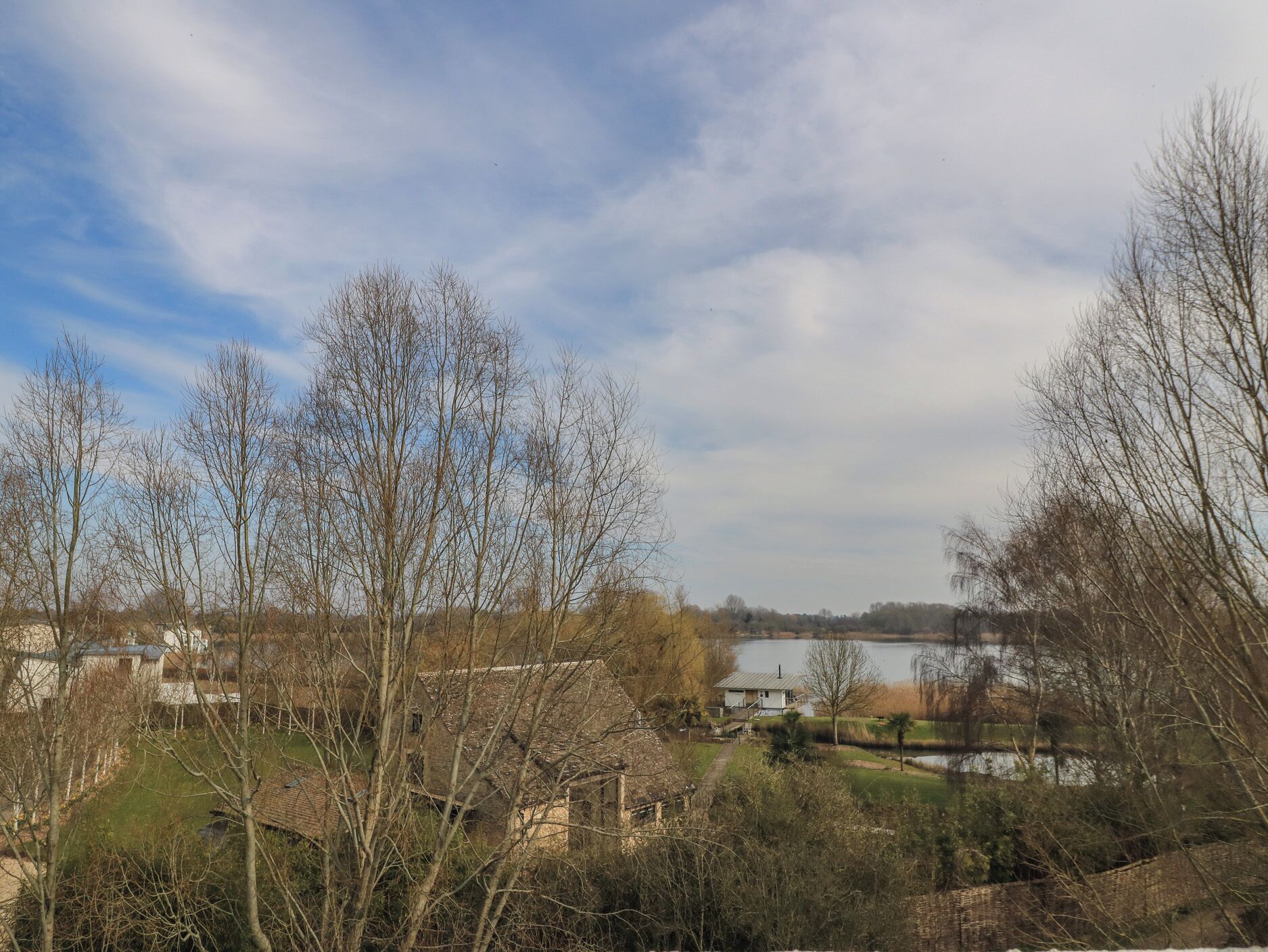 A lakeside view with leafless trees, a small house, and a distant body of water.