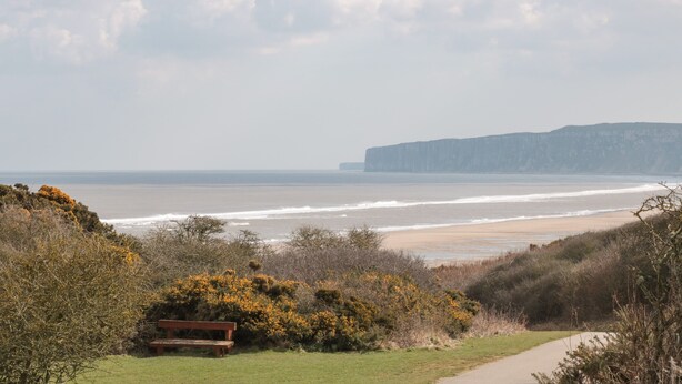 A coastal landscape with a bench, a path, and a cliff in the background. - Causeway Cottage (Filey)