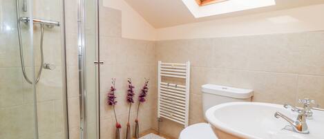 A modern bathroom with a glass-enclosed shower, a white toilet, and a sink with a mirror.
