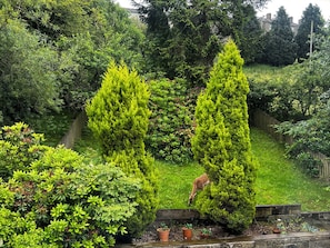 Cottage | Enceinte de l’hébergement