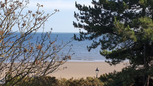 Une plage avec un lampadaire et une végétation luxuriante au premier plan.
