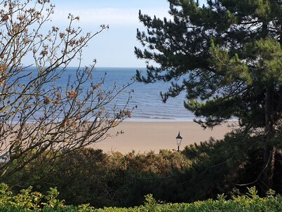 Sea View Cottage
