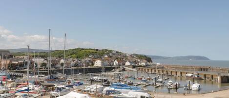 A marina with boats docked, a pier extending into the water, and a town in the background.