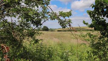 A natural landscape with a field, trees, and a clear sky.