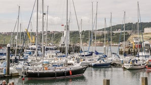 Una marina amb nombroses embarcacions de vela amarrades, una bandera en un vaixell i una ciutat amb turons al fons.