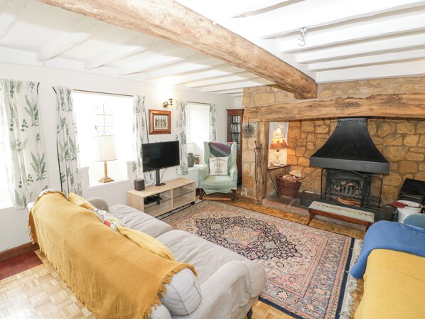 平房 | 起居區 | 電視