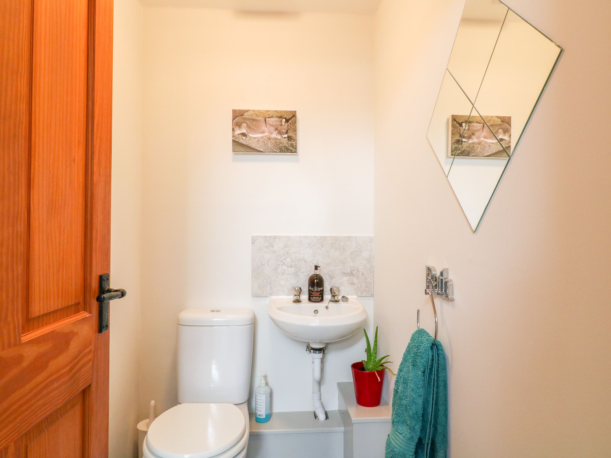 Un bagno con WC, lavabo e specchio. Un asciugamano è appeso al muro e c'è una piccola pianta sul ripiano del lavabo.