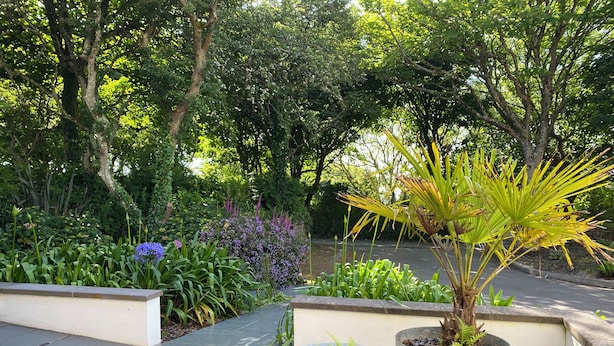 A garden with a variety of plants and a paved walkway. - Tinners Rest (Penzance)