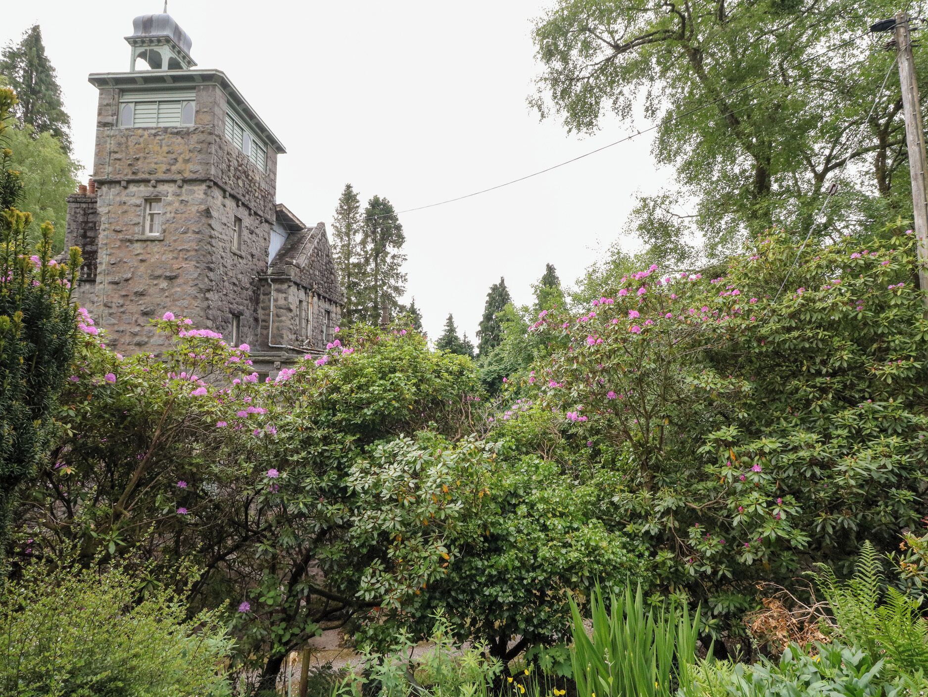A stone building with a tower, surrounded by lush greenery and flowering plants.