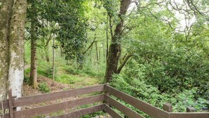 Un banc en bois situé dans une zone boisée, entouré d’arbres et de verdure.
